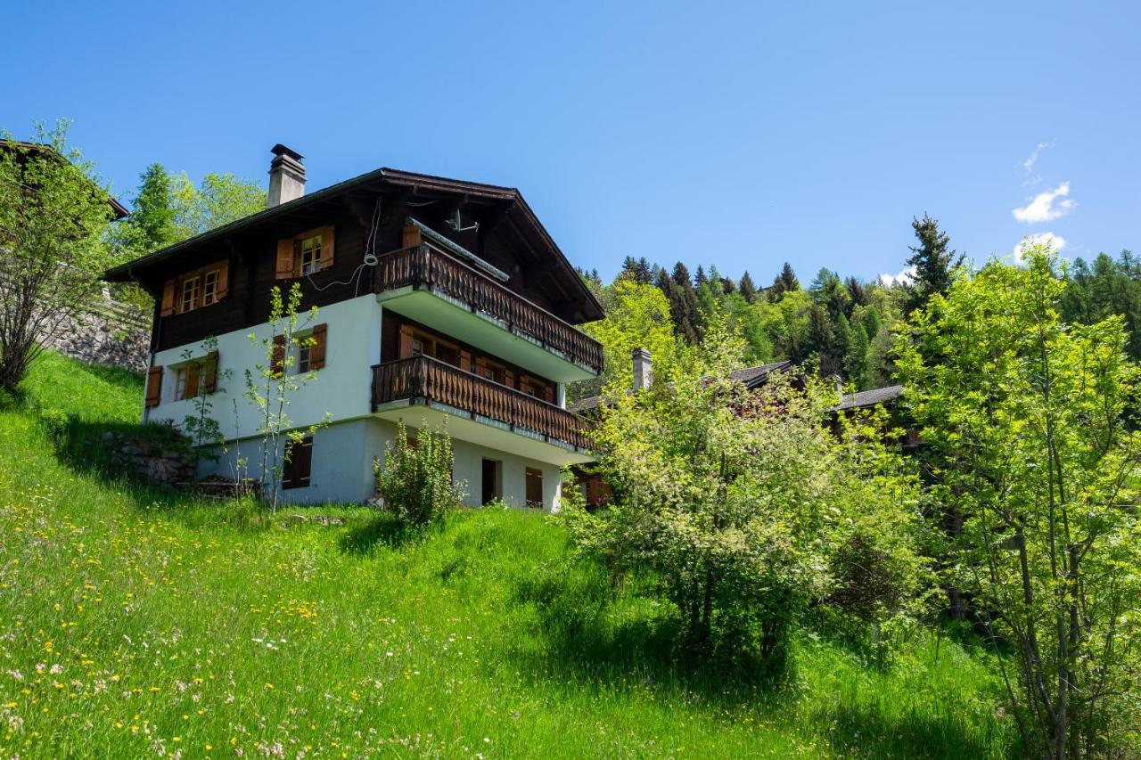 Chalet Orion Бельвальд Экстерьер фото
